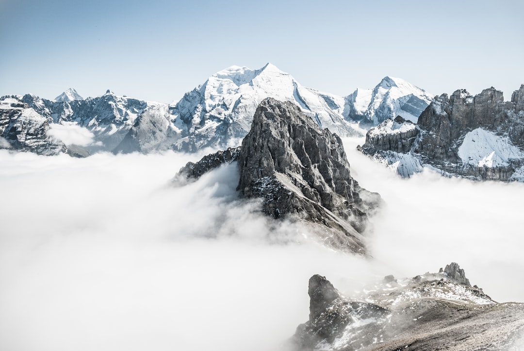 Finding Serenity: The Psychological Benefits of Immersing Yourself in Nature